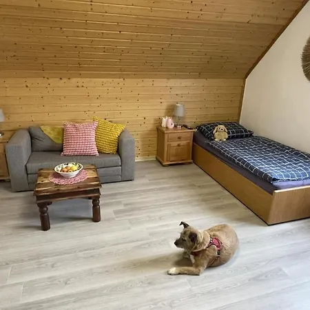 Schicke Ferien- Und Monteurswohnung 53 Qm Appartamento