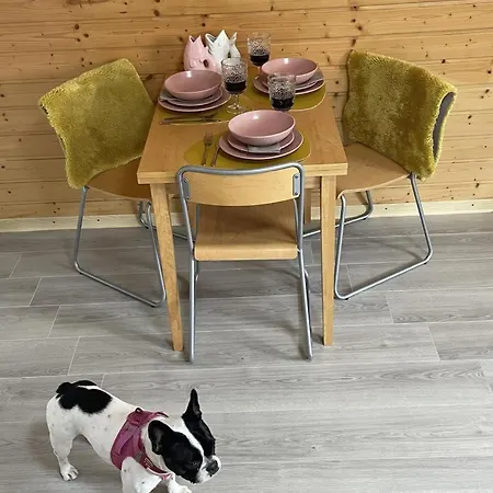 Schicke Ferien- Und Monteurswohnung 53 Qm 公寓