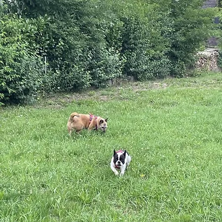 公寓 Schicke Ferien- Und Monteurswohnung 53 Qm *